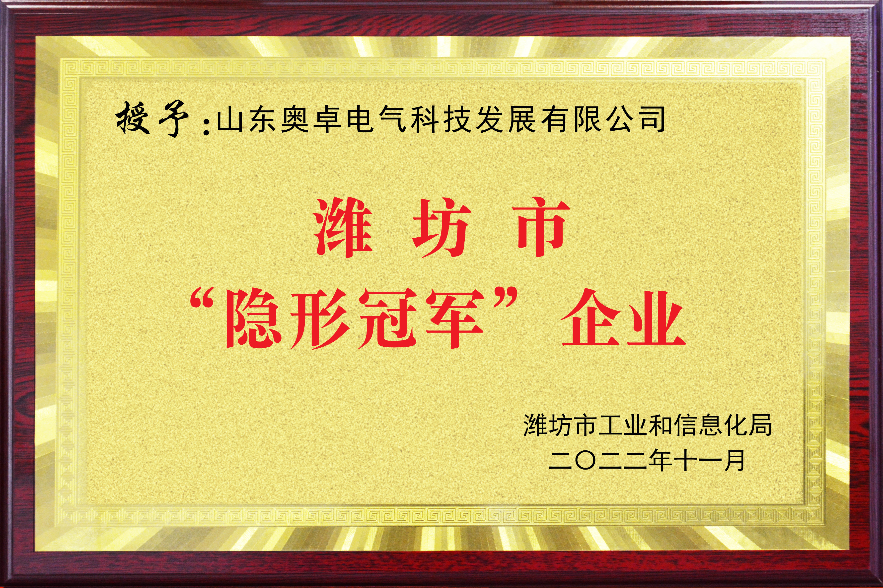 濰坊市隱形冠軍企業(yè) 濰坊市隱形冠軍企業(yè)