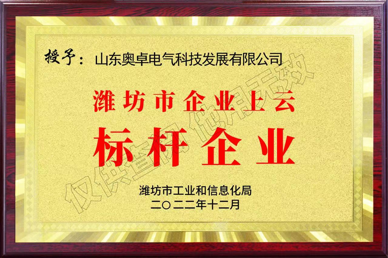 濰坊市企業(yè)上云標(biāo)桿企業(yè)