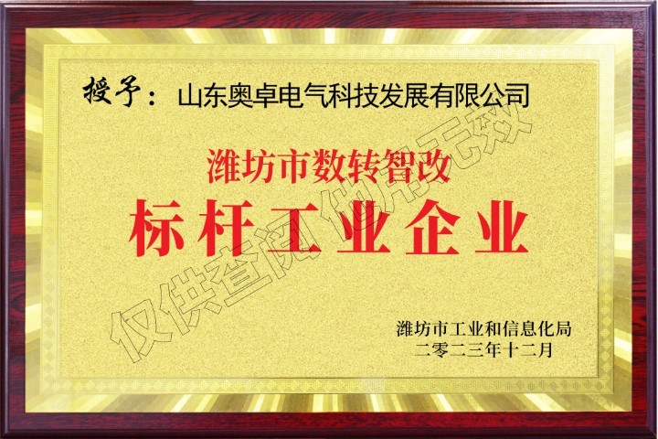 濰坊市數(shù)轉(zhuǎn)智改標(biāo)桿工業(yè)企業(yè)